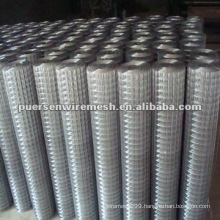 Anping factory Low price Galvanized welded wire mesh